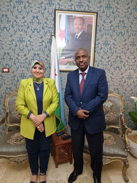 منسق عام وافدين جامعة المنوفية تلتقى بسفير جمهورية جيبوتي بالقاهرة 