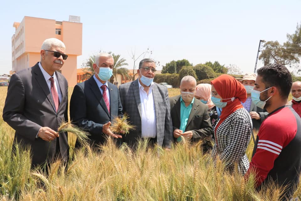 جامعة المنوفية تحتفل بيوم الحقل بمزرعة الراهب ومبارك يدعو الطلاب لمزيد من الأبحاث والتجارب لزيادة انتاجية المحاصيل الاستراتيجية